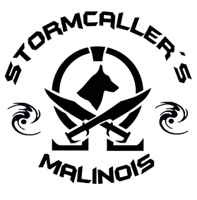 Stormcallers